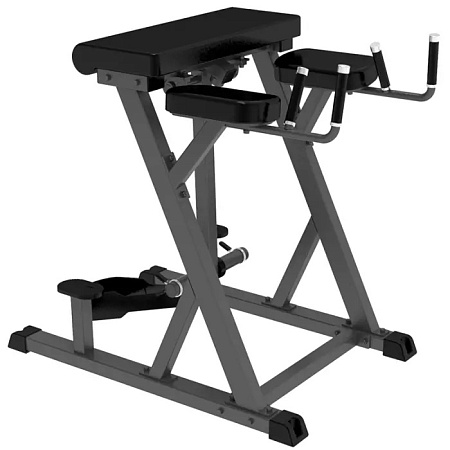 Обратная гиперэкстензия Impulse IFP1619 | Aerofit Professional | aero-fitnes.ru