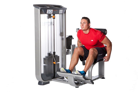 Разгибание спины Inotec NL8 | Aerofit Professional | aero-fitnes.ru