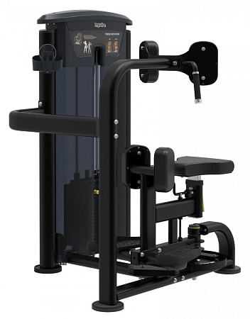 Вращение торса Impulse IT9518 | Aerofit Professional | aero-fitnes.ru