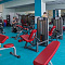 Парта для бицепса (Скамья Скотта) Impulse IFSPC | Aerofit Professional | aero-fitnes.ru