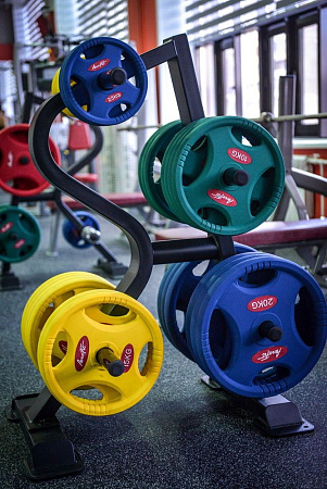 Стойка для дисков Impulse SL7010 | Aerofit Professional | aero-fitnes.ru