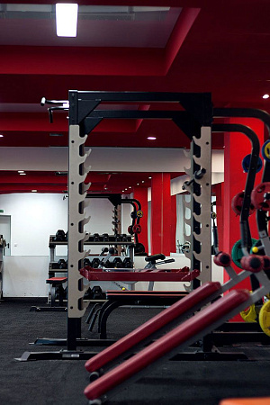 Силовая рама повышенной прочности для жимов и приседов с опцией для хранения дисков Impulse SL7009+SL7009OPT | Aerofit Professional | aero-fitnes.ru