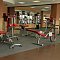Скамья для пресса Impulse IT7003 | Aerofit Professional | aero-fitnes.ru