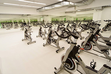 Cайкл-тренажер Impulse PS300E | Aerofit Professional | aero-fitnes.ru