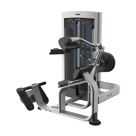 Разгибание спины Impulse Exoform FE9732 | Aerofit Professional | aero-fitnes.ru