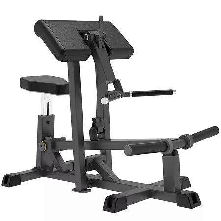 Бицепс Impulse IFP1501 | Aerofit Professional | aero-fitnes.ru