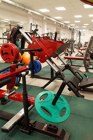 Жим ногами Impulse SL7020 | Aerofit Professional | aero-fitnes.ru