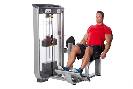 Разгибание спины Inotec NL8 | Aerofit Professional | aero-fitnes.ru