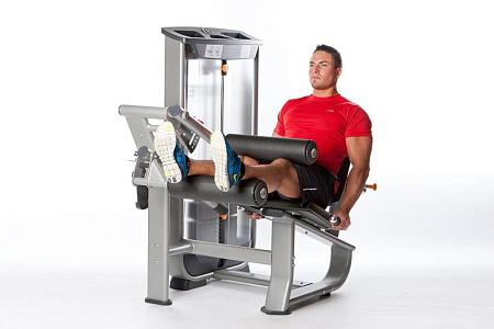 Сгибание ног сидя Inotec NL6 | Aerofit Professional | aero-fitnes.ru