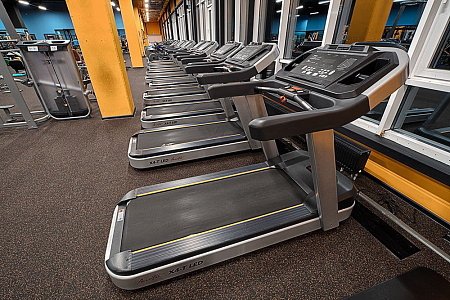 Беговая дорожка Aerofit PT300H (X4-T LED) | Aerofit Professional | aero-fitnes.ru