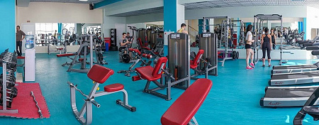 Парта для бицепса (Скамья Скотта) Impulse IFSPC | Aerofit Professional | aero-fitnes.ru