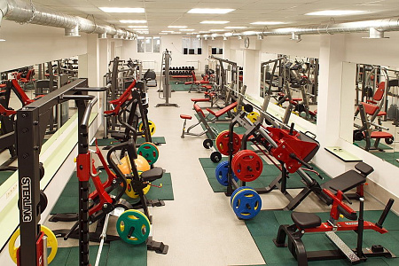 Икроножные сидя Impulse SL7017 | Aerofit Professional | aero-fitnes.ru