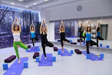 Блок для йоги Aerofit AFBL01 | Aerofit Professional | aero-fitnes.ru