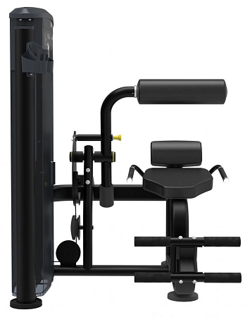 Разгибание спины Impulse IT9532 | Aerofit Professional | aero-fitnes.ru