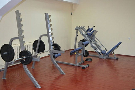 Тренажер для спины и пресса Impulse IFABM | Aerofit Professional | aero-fitnes.ru