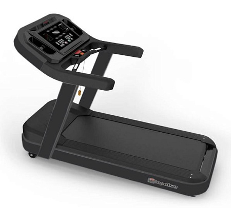 Беговая дорожка Aerofit PT300H (X4-T LED) | Aerofit Professional | aero-fitnes.ru