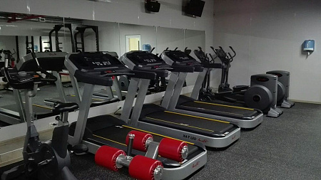 Беговая дорожка Aerofit PT300H (X4-T LED) | Aerofit Professional | aero-fitnes.ru