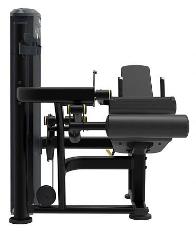 Сгибание ног сидя Impulse IT9506 | Aerofit Professional | aero-fitnes.ru