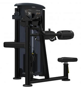 Дельтовидные Impulse IT9524 | Aerofit Professional | aero-fitnes.ru
