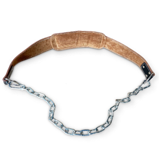 Пояс для отягощений Aerofit AFPDO | Aerofit Professional | aero-fitnes.ru