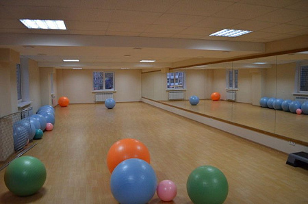 Гимнастический мяч Aerofit, 65см AFFB-65 | Aerofit Professional | aero-fitnes.ru