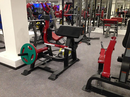 Бицепс сидя Impulse SL7023 | Aerofit Professional | aero-fitnes.ru