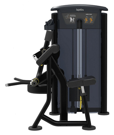 Бицепс Impulse IT9503 | Aerofit Professional | aero-fitnes.ru