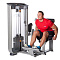 Разгибание спины Inotec NL8 | Aerofit Professional | aero-fitnes.ru