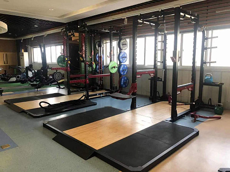 Силовая рама двойная, двусторонняя Impulse HSPR03 | Aerofit Professional | aero-fitnes.ru