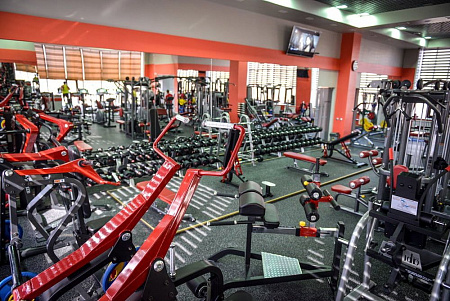 Римский стул Impulse SL7013 | Aerofit Professional | aero-fitnes.ru