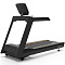Беговая дорожка Aerofit Impulse AC2990 (X2-T LED) | Aerofit Professional | aero-fitnes.ru