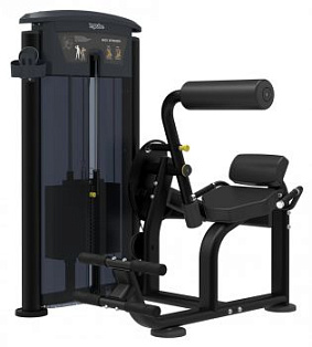 Разгибание спины Impulse IT9532 | Aerofit Professional | aero-fitnes.ru