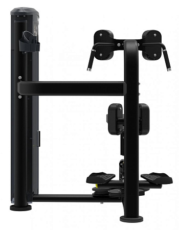 Вращение торса Impulse IT9518 | Aerofit Professional | aero-fitnes.ru