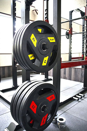 Олимпийский обрезиненный диск Aerofit 25 кг, черно-красный | Aerofit Professional | aero-fitnes.ru