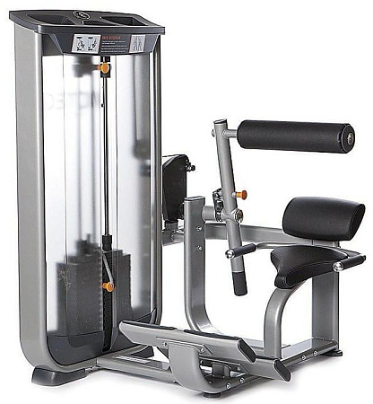 Разгибание спины Inotec NL8 | Aerofit Professional | aero-fitnes.ru