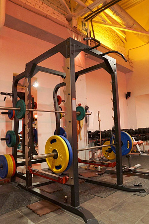 Силовая рама повышенной прочности для жимов и приседов с опцией для хранения дисков Impulse SL7009+SL7009OPT | Aerofit Professional | aero-fitnes.ru