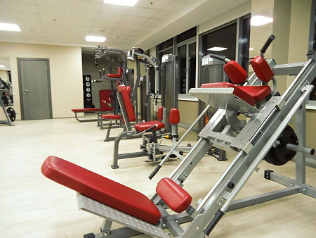 Жим ногами / Гакк-машина Impulse IFLPHS | Aerofit Professional | aero-fitnes.ru