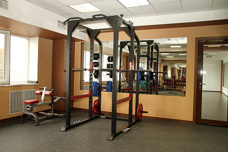 Усиленная силовая стойка Impulse SL7015 | Aerofit Professional | aero-fitnes.ru