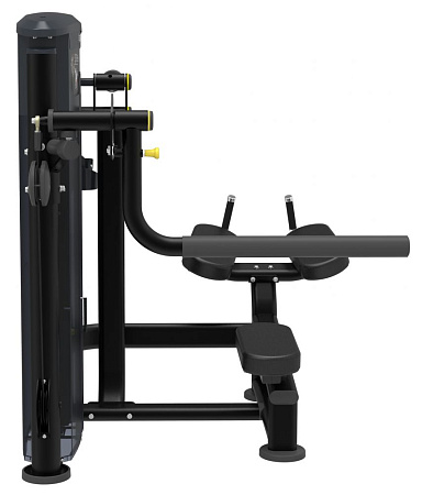 Ягодичные Impulse IT9526 | Aerofit Professional | aero-fitnes.ru