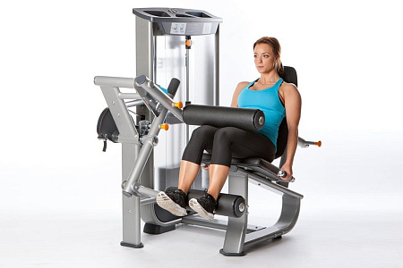Сгибание ног сидя Inotec NL6 | Aerofit Professional | aero-fitnes.ru