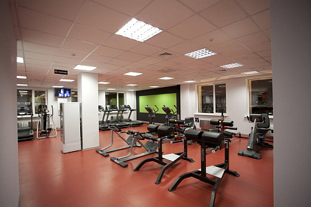 Римский стул Impulse SL7013 | Aerofit Professional | aero-fitnes.ru