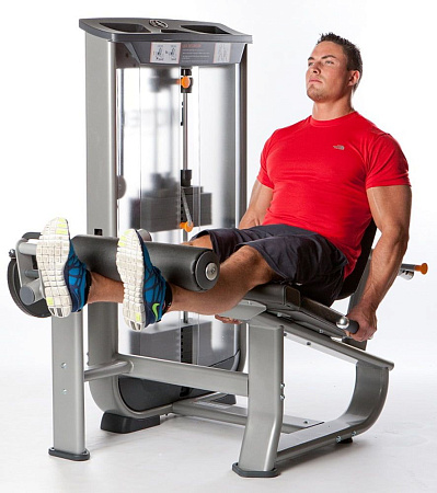 Разгибание ног Inotec NL5 | Aerofit Professional | aero-fitnes.ru