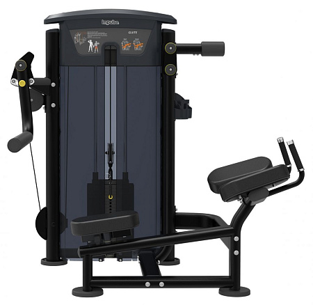 Ягодичные Impulse IT9526 | Aerofit Professional | aero-fitnes.ru