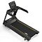 Беговая дорожка Aerofit Impulse AC2990 (X2-T LED) | Aerofit Professional | aero-fitnes.ru