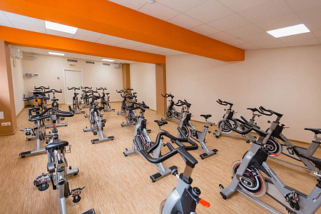 Cайкл-тренажер Impulse PS300E | Aerofit Professional | aero-fitnes.ru