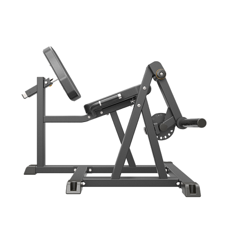 Разгибание ног сидя Impulse IFP1605 | Aerofit Professional | aero-fitnes.ru