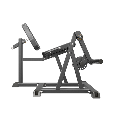 Разгибание ног сидя Impulse IFP1605 | Aerofit Professional | aero-fitnes.ru