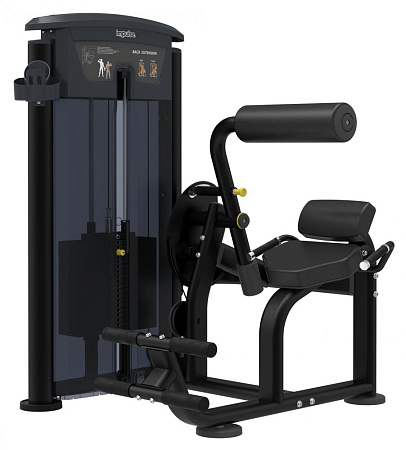 Разгибание спины Impulse IT9532 | Aerofit Professional | aero-fitnes.ru