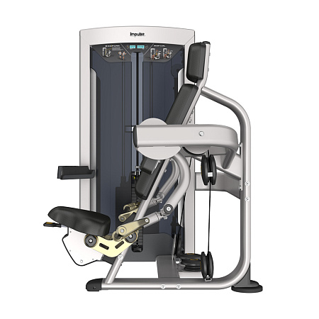 Бицепс Impulse Exoform FE9703 | Aerofit Professional | aero-fitnes.ru