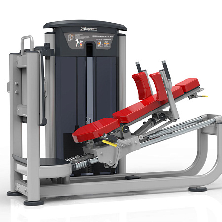 Жим ногами / Гакк-машина Impulse IT9539 | Aerofit Professional | aero-fitnes.ru